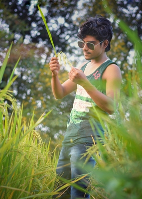 站在稻田里观察麦穗的帅哥图片